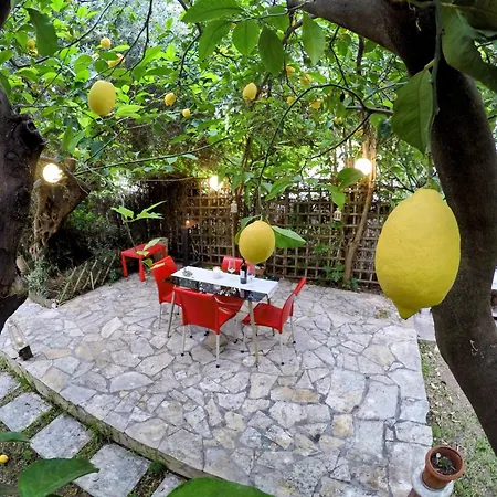 Apartamento Σπίτι Στο Ρίο Πατρών Με Κήπο - Detached House In Rio With Garden Exterior foto