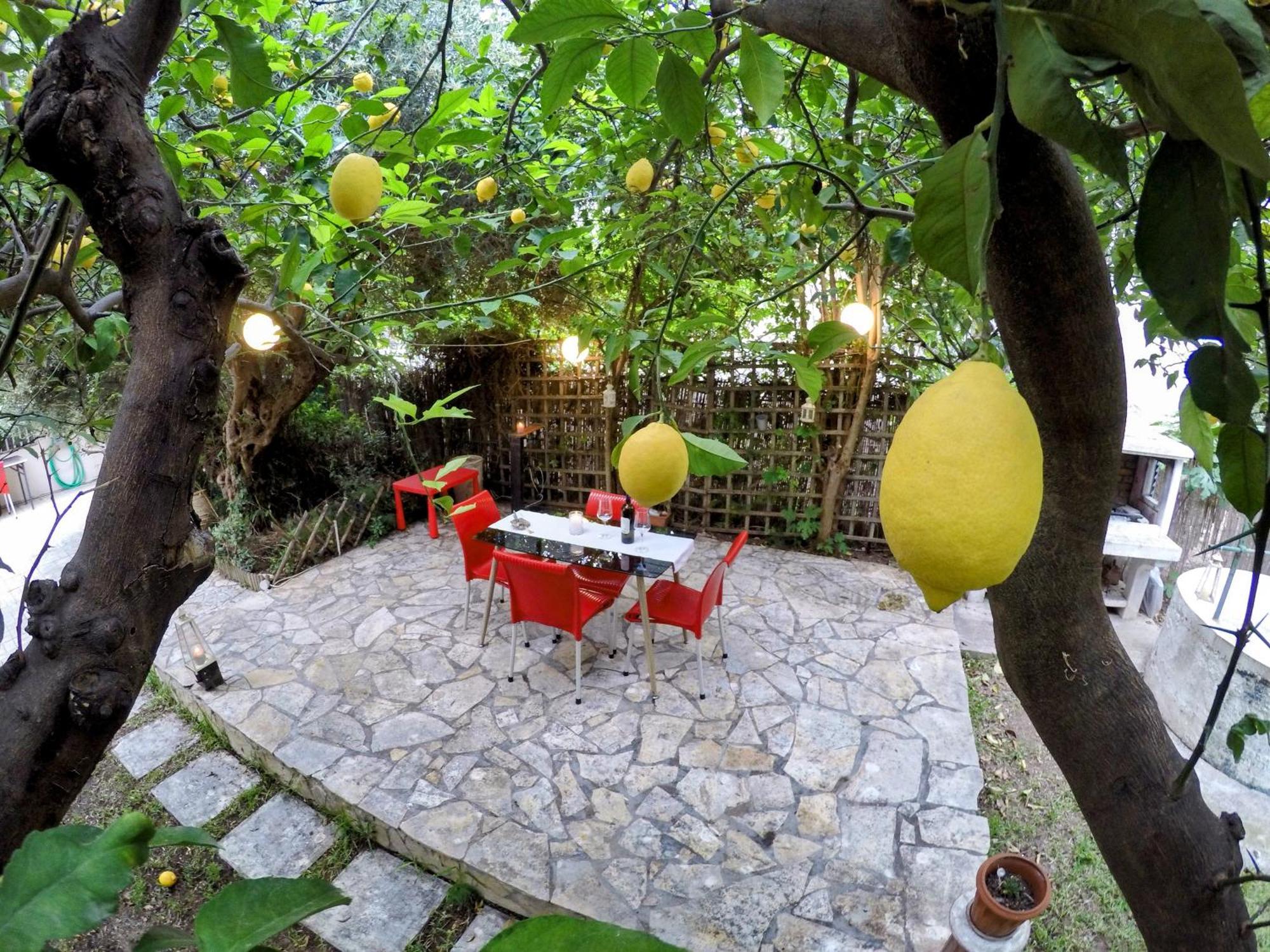 Apartment σπίτι στο πατρών με κήπο - Detached House In With Garden